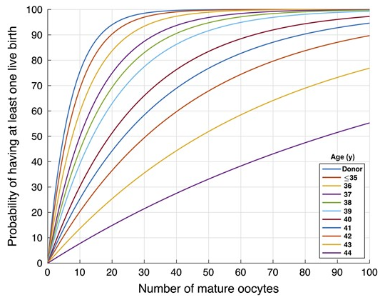 Number of mature oocytes